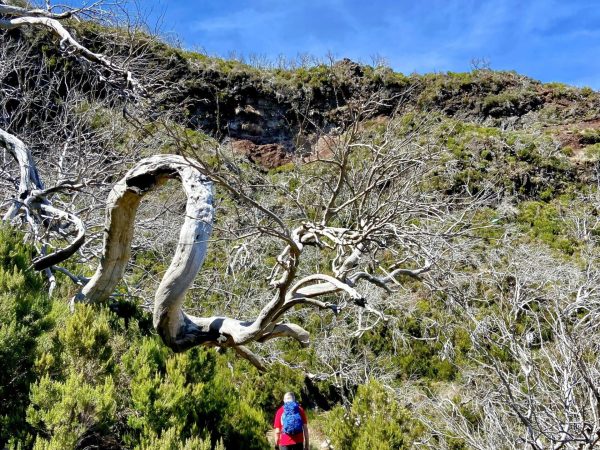 albano-aktiv-hike-picos-3