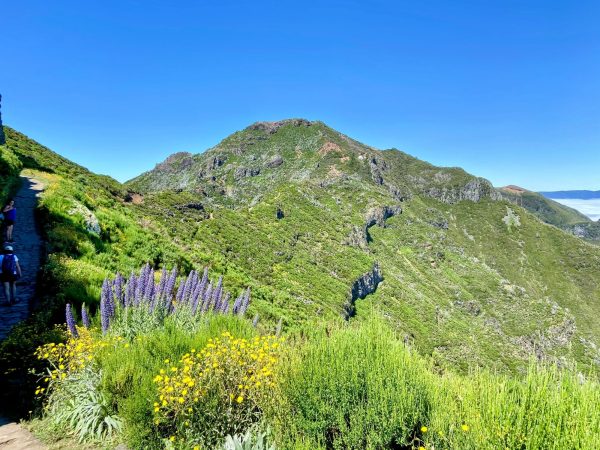 albano-aktiv-hike-picos-6