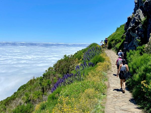 albano-aktiv-hike-picos-8