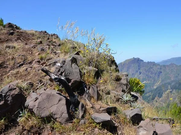 albano-aktiv-hikes-8-day-trekking-1