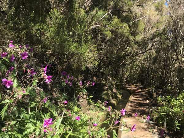 albano-aktiv-hikes-cascatas-lagoas-10