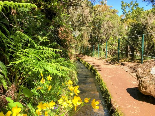 albano-aktiv-hikes-cascatas-lagoas-12