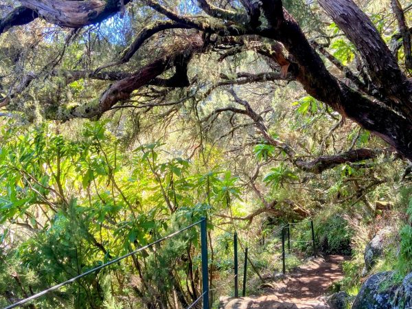 albano-aktiv-hikes-cascatas-lagoas-4