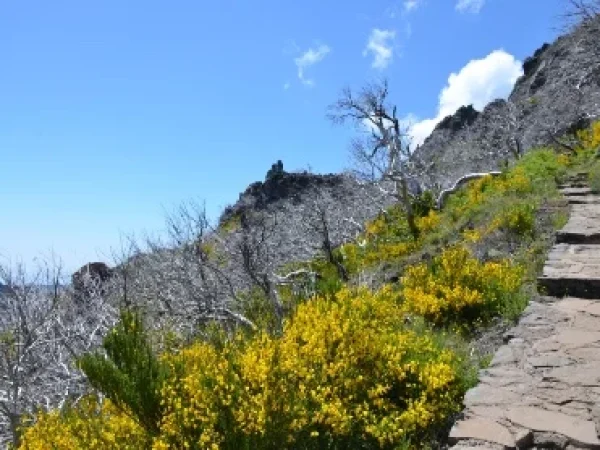 albano-aktiv-hikes-finest-hiking-6