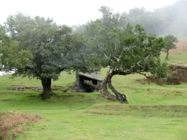 albano-aktiv-hikes-madeira-pure-2