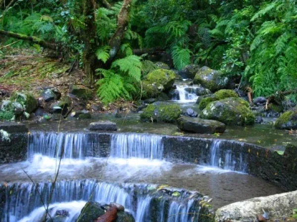 albano-aktiv-hikes-madeira-pure-3