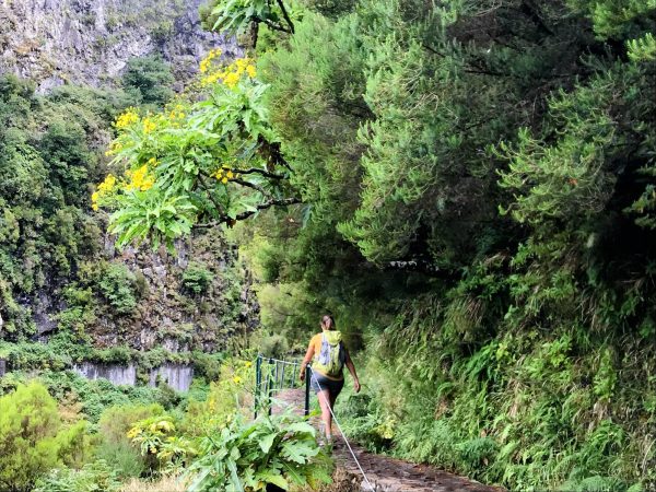 albano-aktiv-rabacal-25-fontes-1