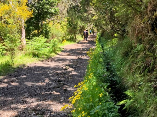 albano-aktiv-rabacal-25-fontes-10