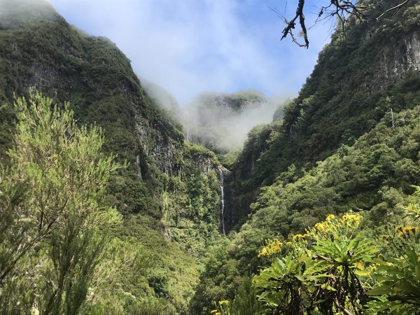 albano-aktiv-rabacal-25-fontes-2