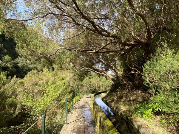 albano-aktiv-rabacal-25-fontes-6