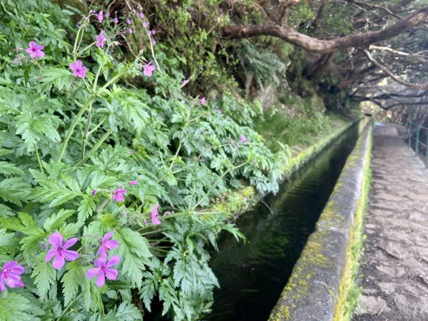 albano-aktiv-rabacal-25-fontes-8