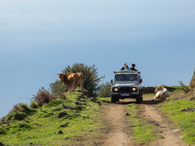 jeep_tour_3