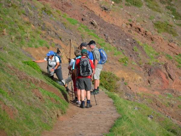 ponta_de_sao_lourenco_2