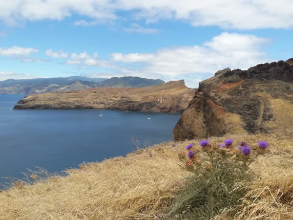 ponta_de_sao_lourenco_3