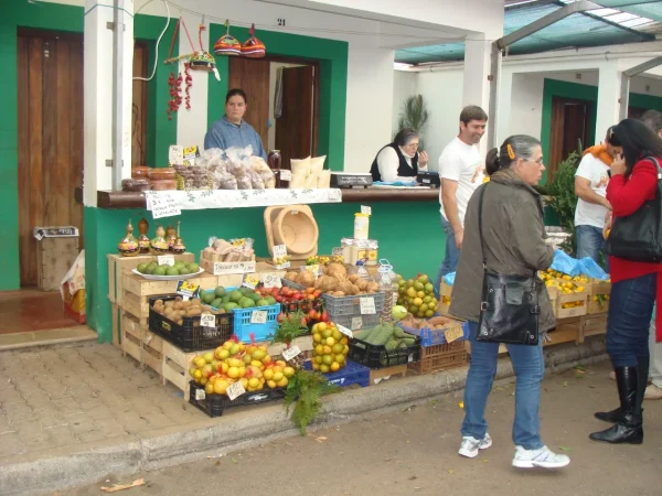 ponta_de_sao_lourenco_4